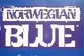 Norwich - Norwegian Blue